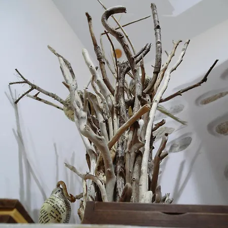 Hotel Elaiolithos - Luxury - Adults Only