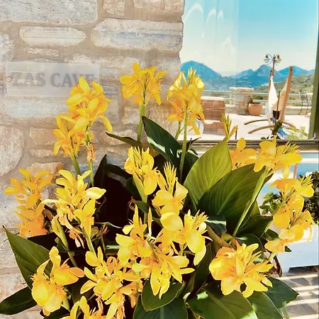 Szálloda Elaiolithos - Luxury - Adults Only Halkío