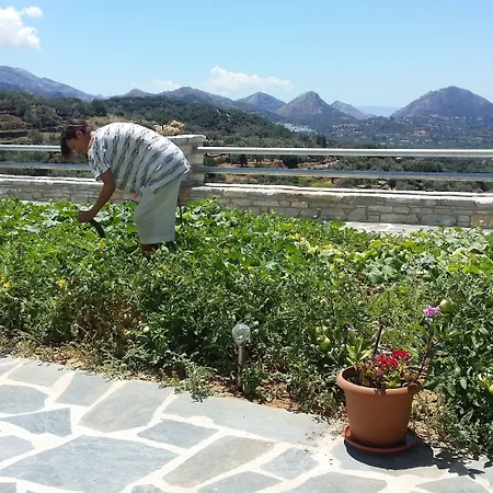Otel Elaiolithos - Luxury - Adults Only