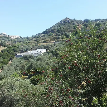 Otel Elaiolithos - Luxury - Adults Only Khalkíon